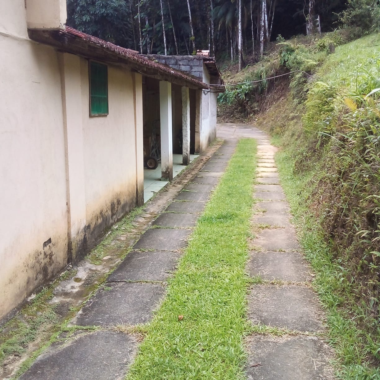 Imagem Chácara com 5 Quartos à Venda, 30 m² em Ribeirão do Ouro - Tapiraí