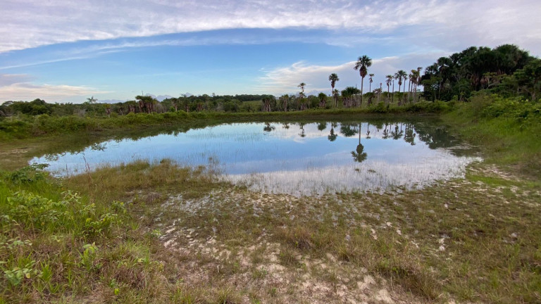 Imagem Fazenda à Venda, 455 HA em zona Rural - Santarém Novo