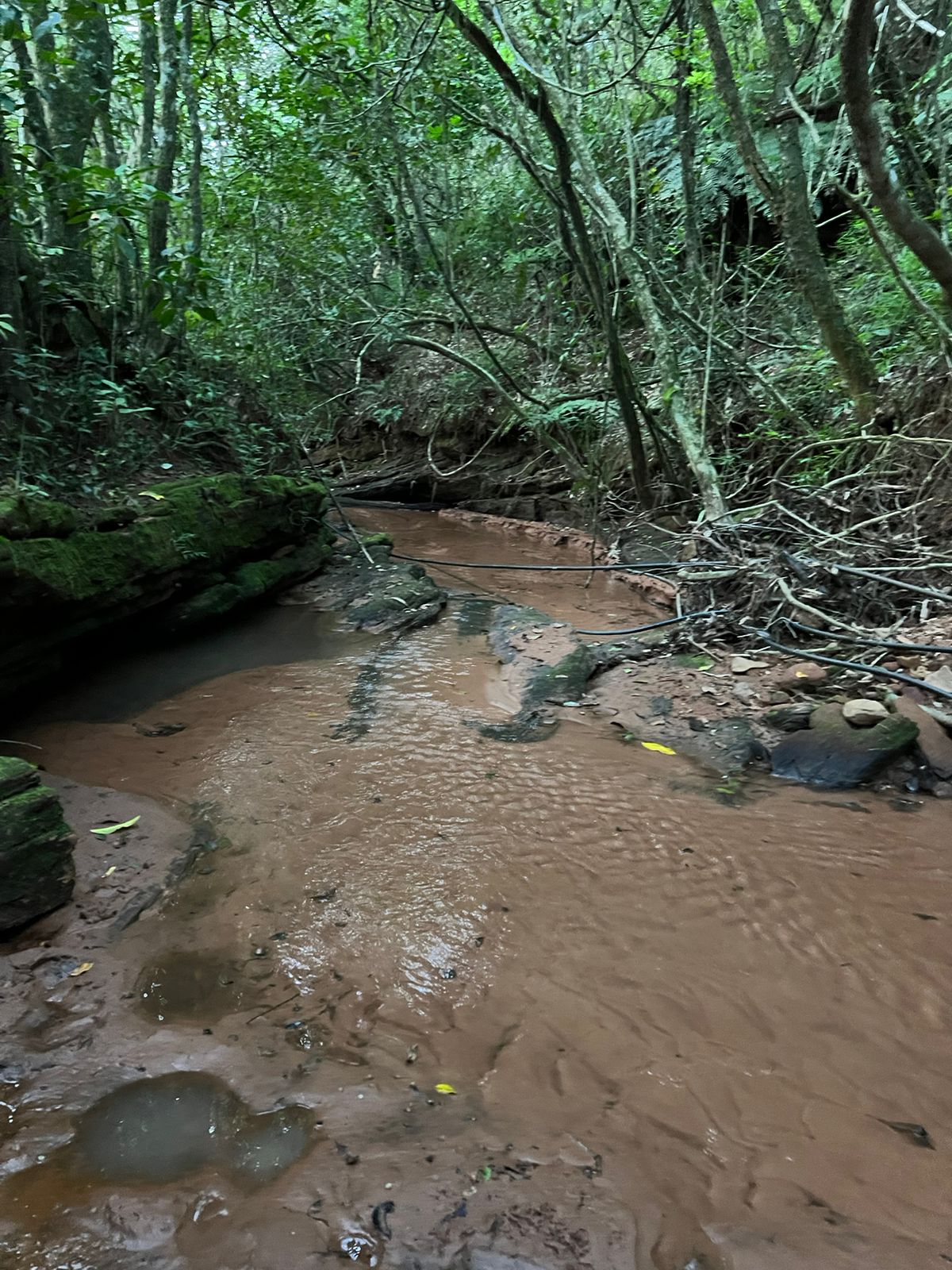 Imagem Chácara à Venda, 100.000 m²em Lomba Grande - Novo Hamburgo