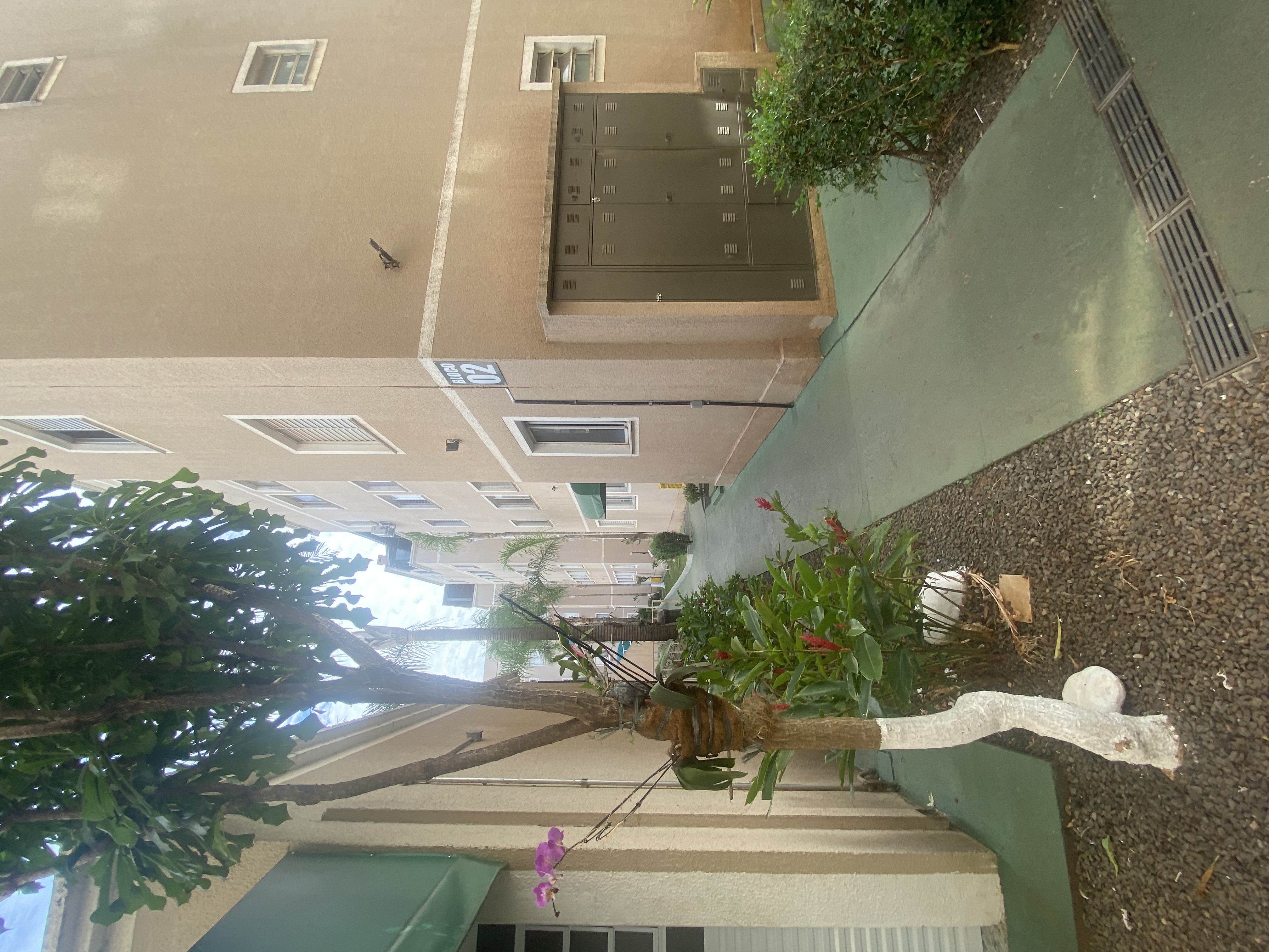 Imagem Cobertura com 2 Quartos à Venda, 90 m² em Jardim Urano - São José do Rio Preto