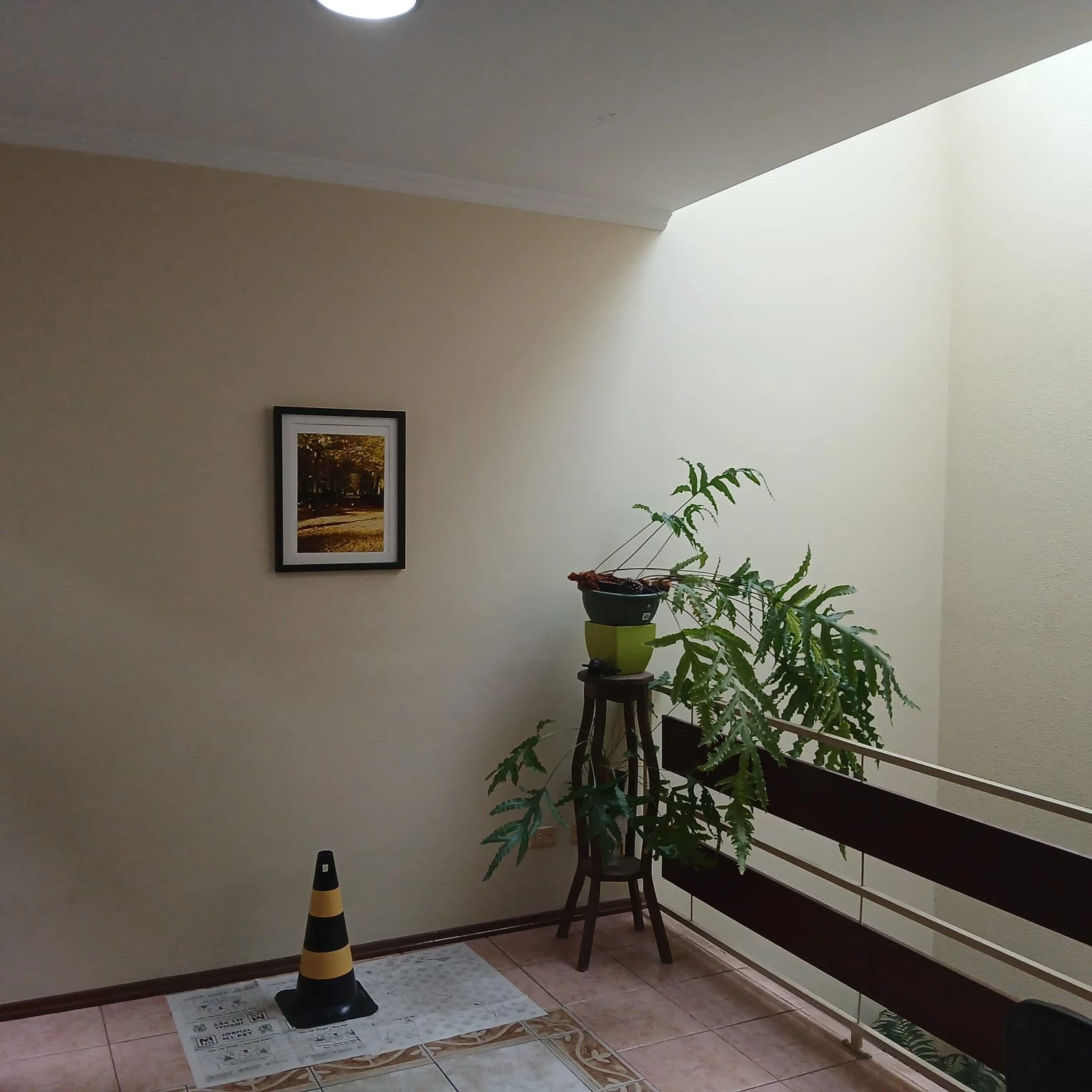 Foto do imóvel: Sobrado com 3 Quartos à Venda, 259 m² em Nova Petrópolis - São Bernardo do Campo