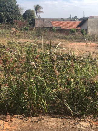 Imagem Terreno à Venda, 330 m² em Vila Nove de Julho - Bauru