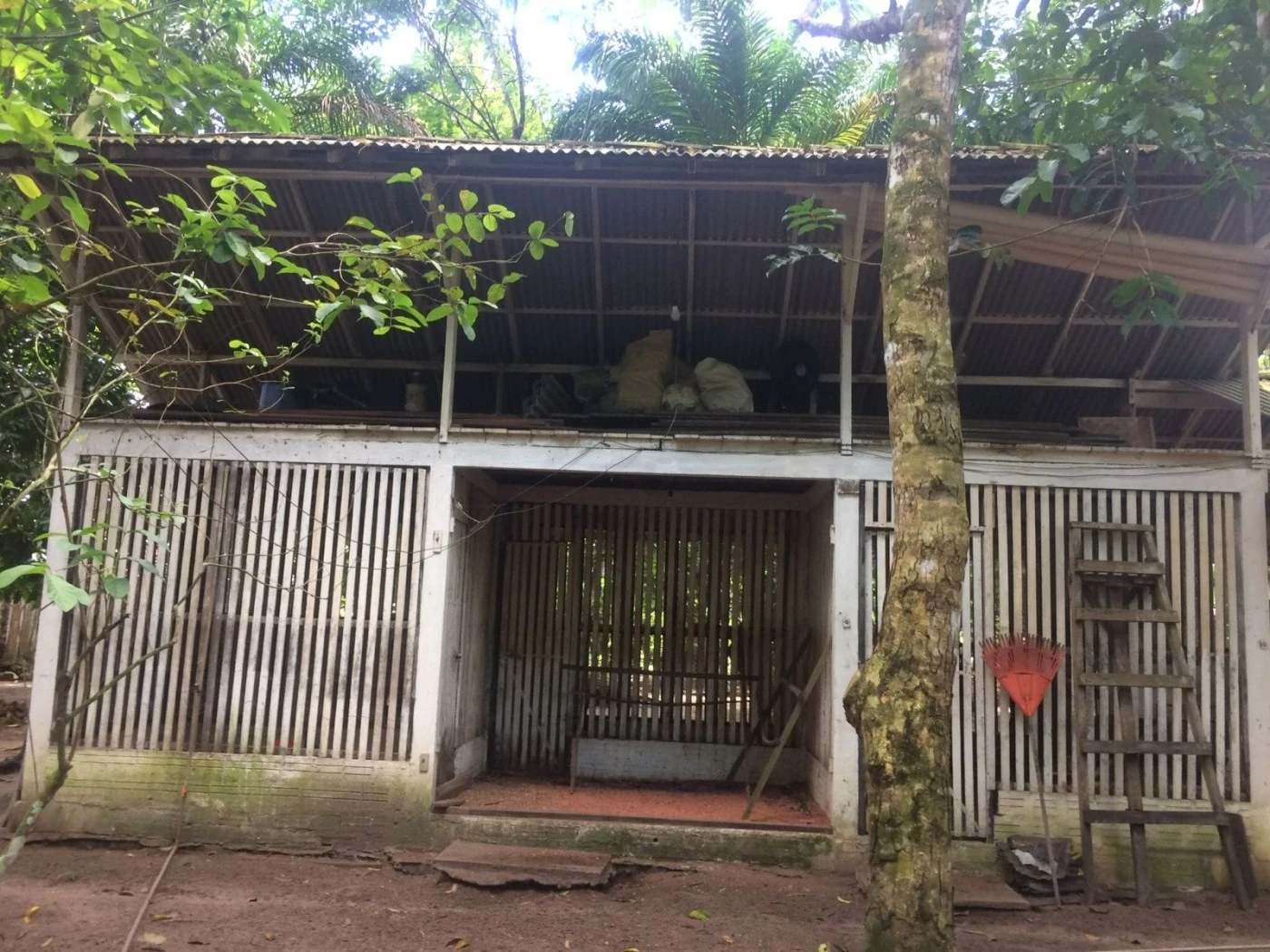 Imagem Chácara à Venda, 227 m² em Santarém Novo - Santarém Novo