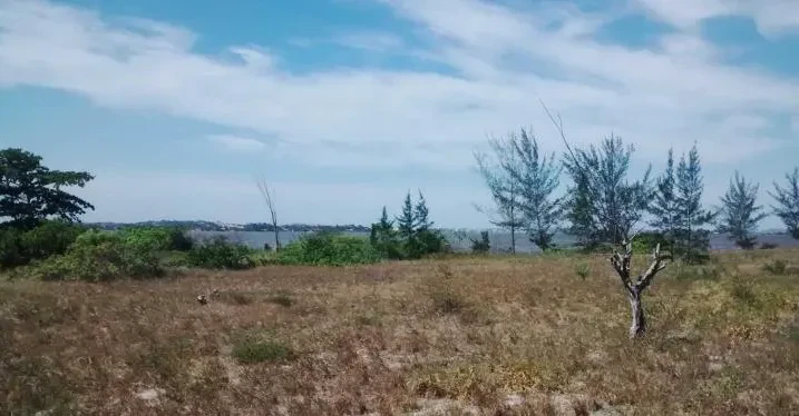 Imagem Terreno à Venda, 8510 metros em Balneário (Praia Seca) - Araruama