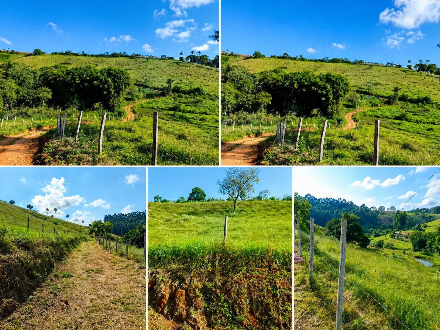 Imagem Fazenda à Venda, 3 Alq. MG em Bandeira do Sul - Bandeira do Sul