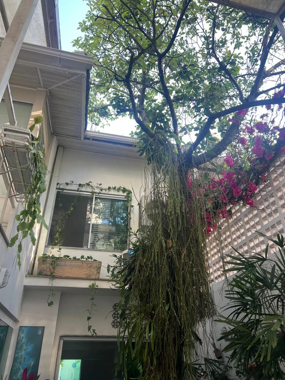 Imagem Casa com 4 Quartos à Venda, 517 m² em Recreio dos Bandeirantes - Rio de Janeiro
