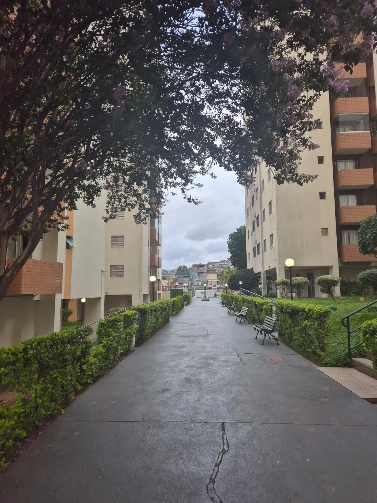 Foto do imóvel: Apartamento com 2 Quartos à Venda ou Locação, 57 m² em Vila Formosa - São Paulo