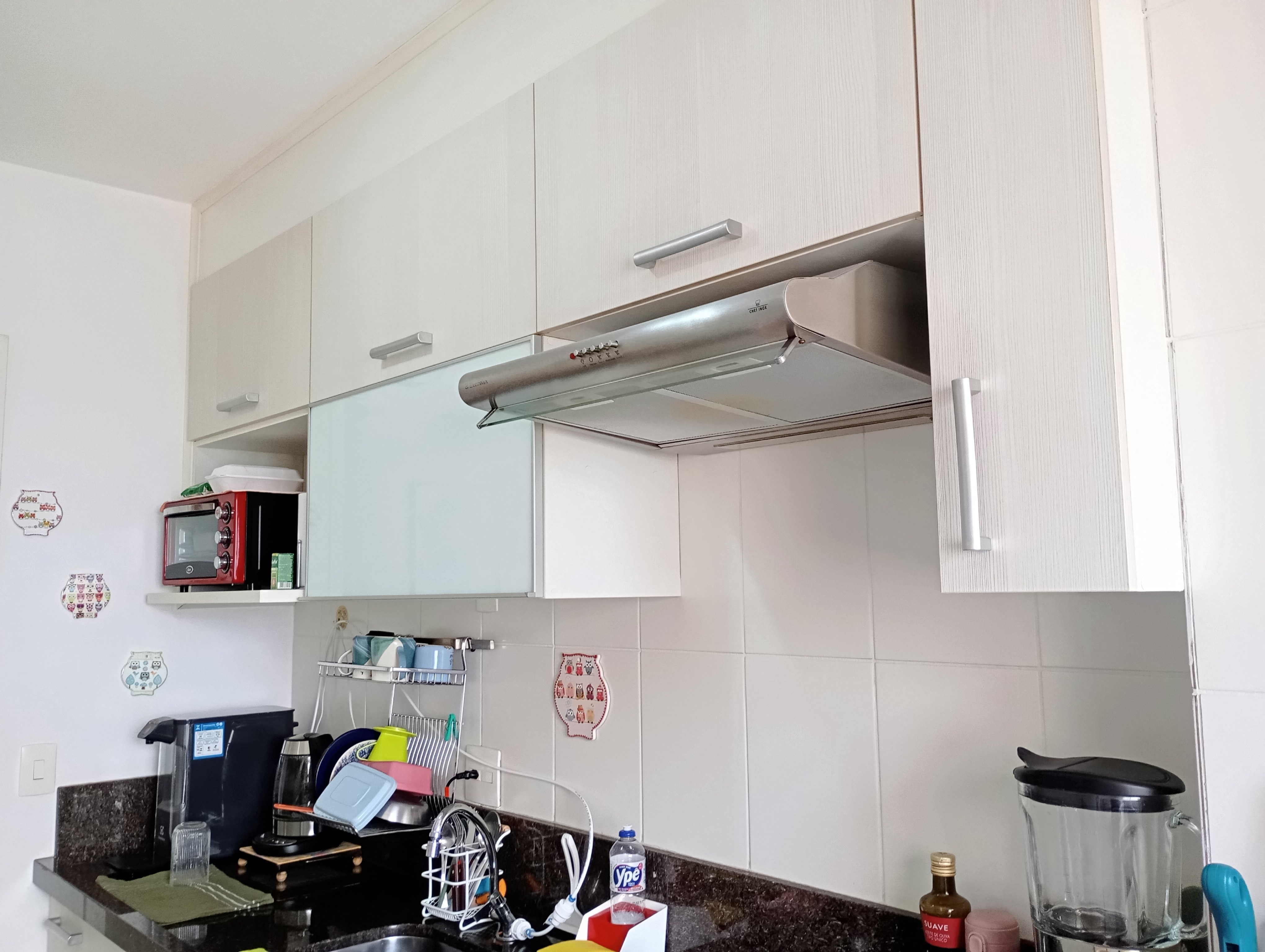 Imagem Apartamento com 2 Quartos à Venda, 52 m² em Vila Liviero - São Paulo