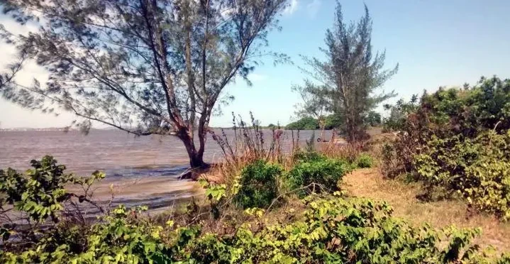Terreno à Venda, 8510 metros em Balneário (Praia Seca) - Araruama