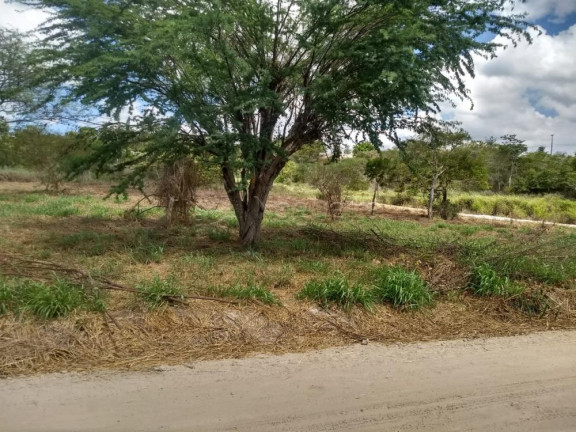 Imagem Terreno à Venda, 4.000 m² em Zona Rural - Bonito