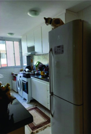 Imagem Apartamento com 2 Quartos à Venda,  em Parque Jacaraípe - Serra