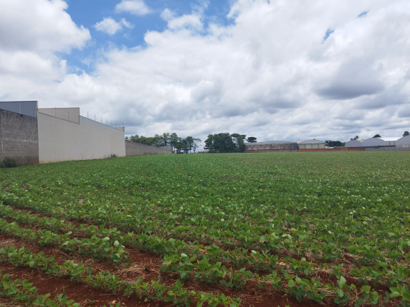 Imagem Terreno à Venda,  em Vila Industrial - Arapongas