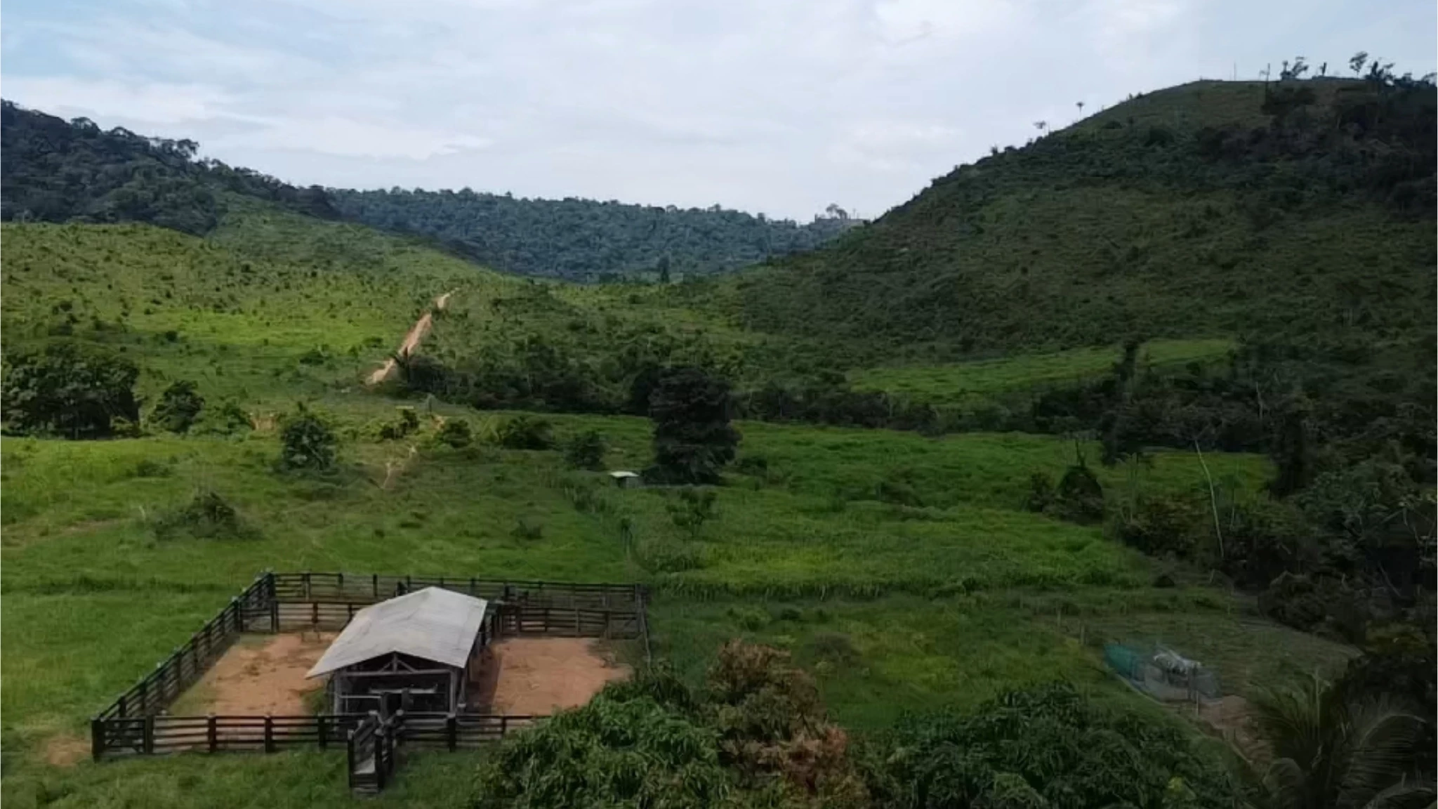 Foto do imóvel: Fazenda à Venda, 58 Alq. GO em São Félix do Xingu - São Félix do Xingu