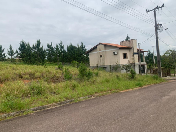 Imagem Terreno à Venda,  em Linha Anta - Criciúma
