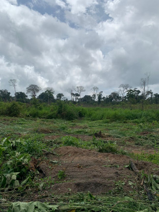 Imagem Fazenda à Venda, 837 HA em Área Rural de Santarém - Santarém