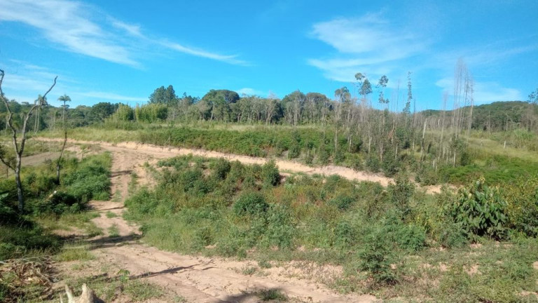 Imagem Terreno à Venda, 500 m² em verava - Ibiúna