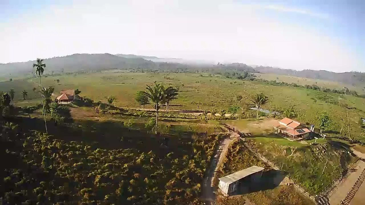 Foto do imóvel: Fazenda à Venda, 831 Alq. GO em Gurupá - Gurupá