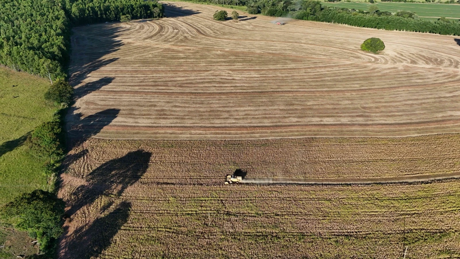 Imagem Fazenda à Venda, 138 HA em Área Rural de Echaporã - Echaporã
