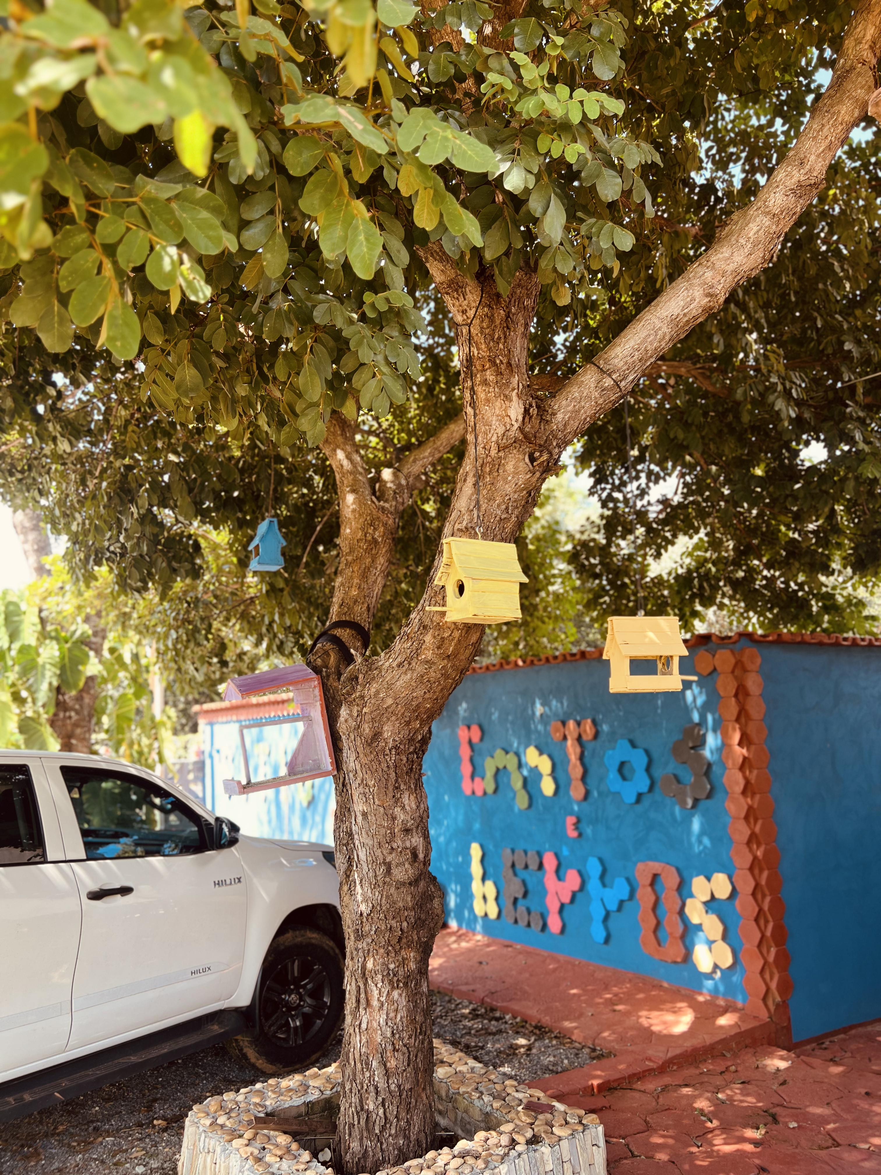 Chácara com 7 Quartos à Venda, 5.000 m² em Setor Central - Mairipotaba