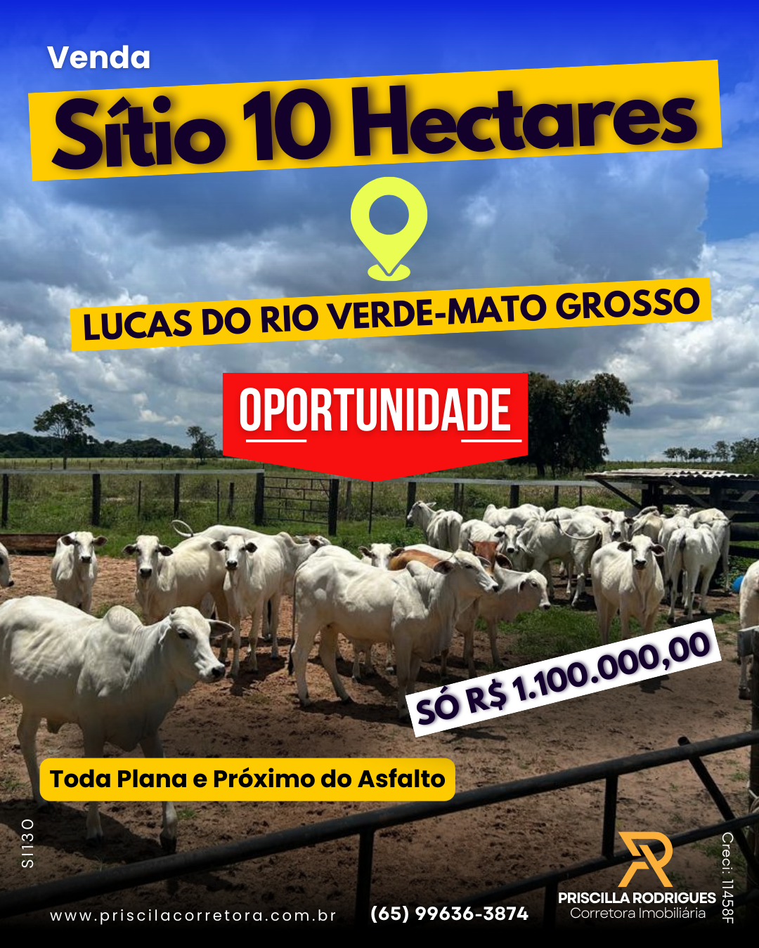 Fazenda à Venda, 10 HA em  - 