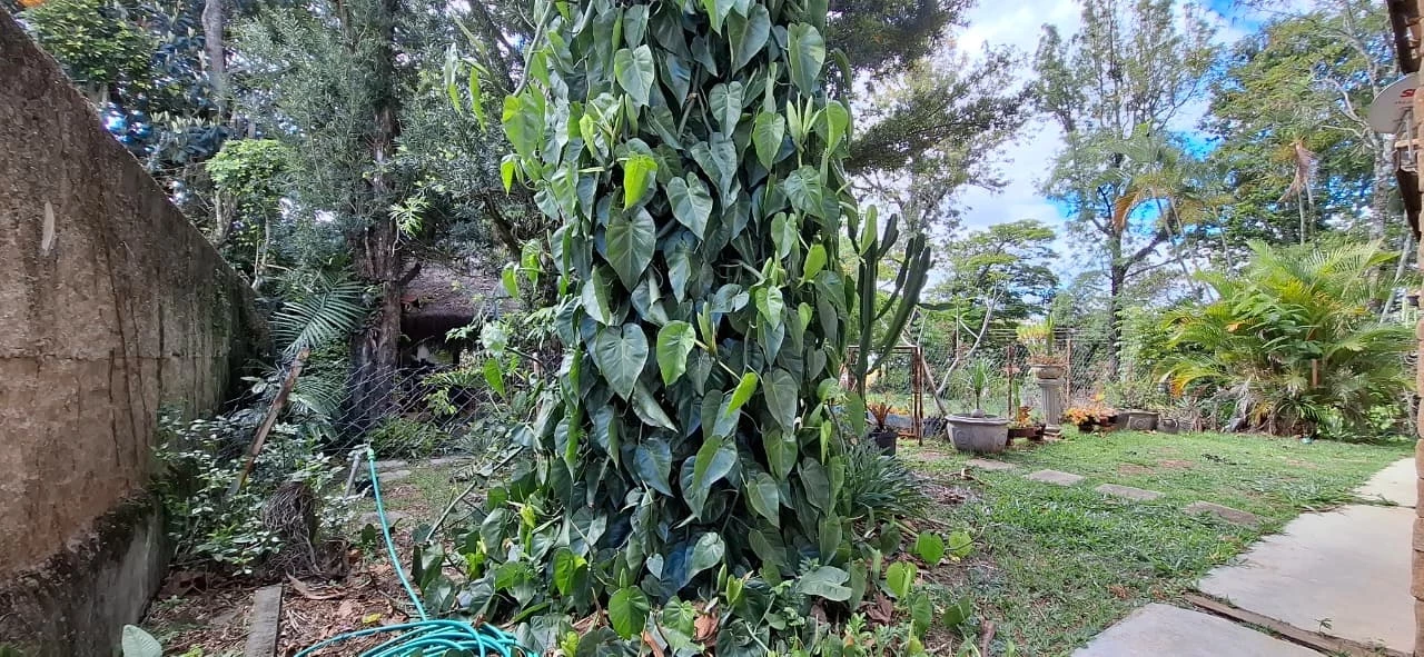 Imagem Casa com 4 Quartos à Venda, 400 m² em Retiro das Fontes - Atibaia