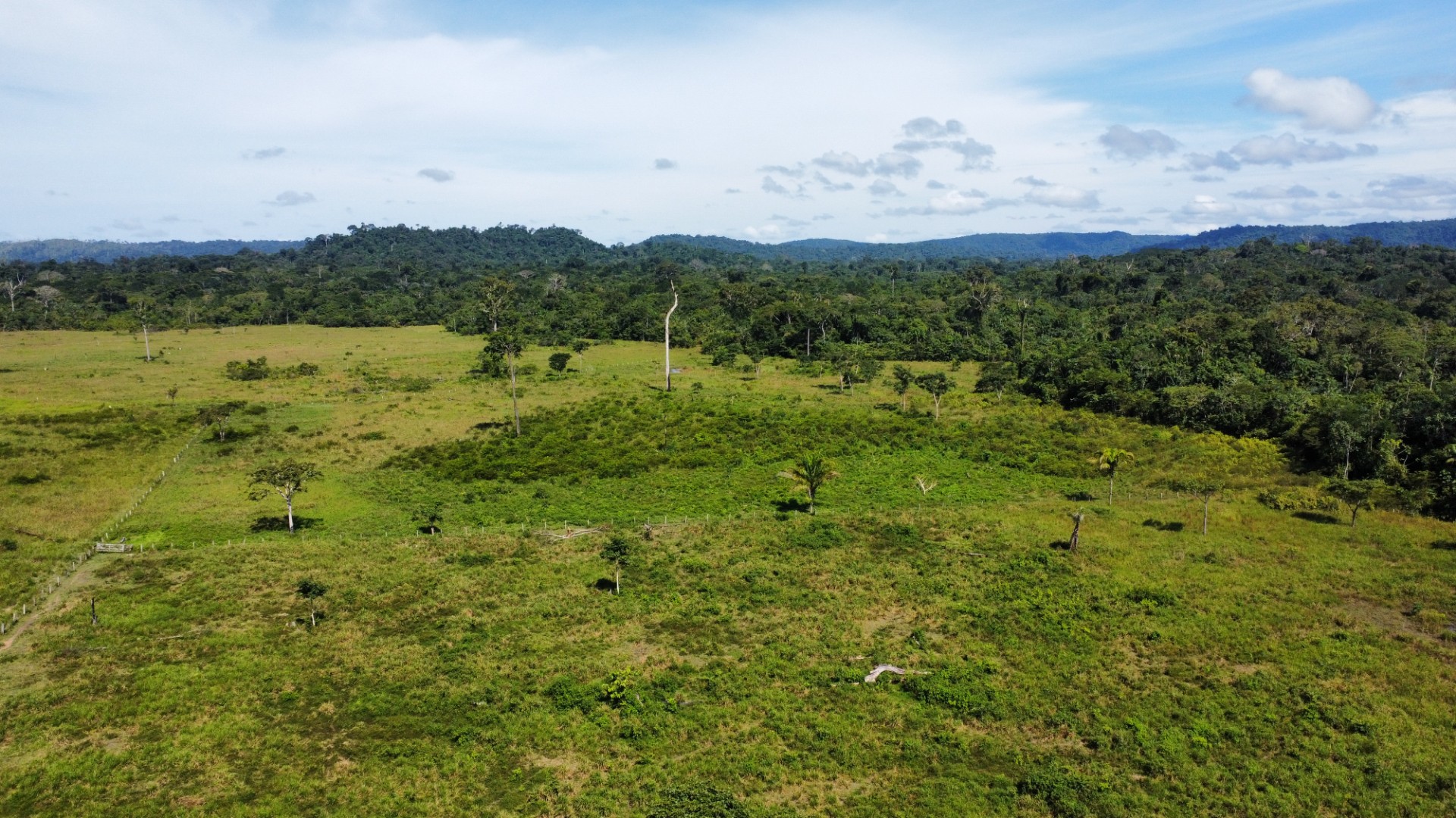 Foto do imóvel: Fazenda à Venda, 900 Alq MGem Centro  - São Félix do Xingu
