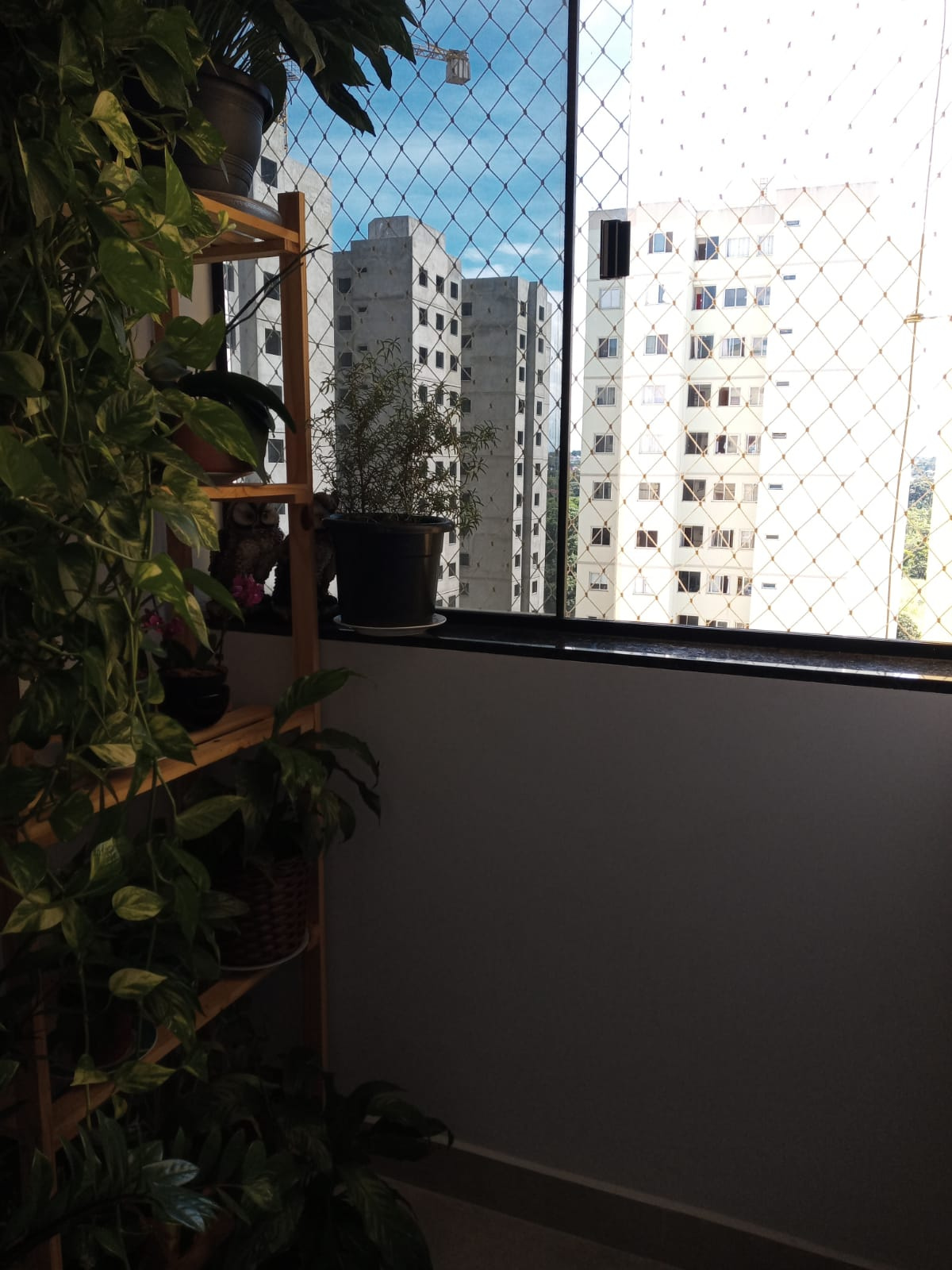 Imagem Apartamento com 3 Quartos à Venda, 70 m²em Setor Negrão de Lima - Goiânia