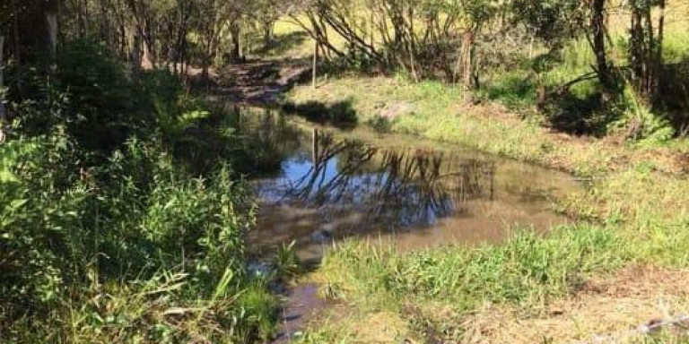 Imagem Fazenda à Venda, 1.450 m² em Centro - Santa Isabel
