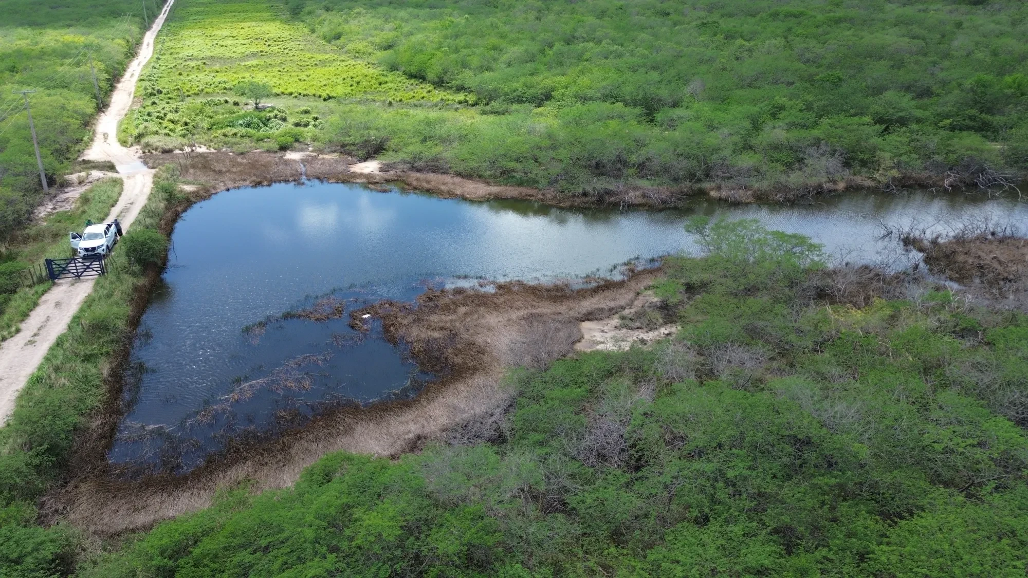 Foto do imóvel: Fazenda à Venda, 100 HA em Fabrício Pedroza - Macaíba
