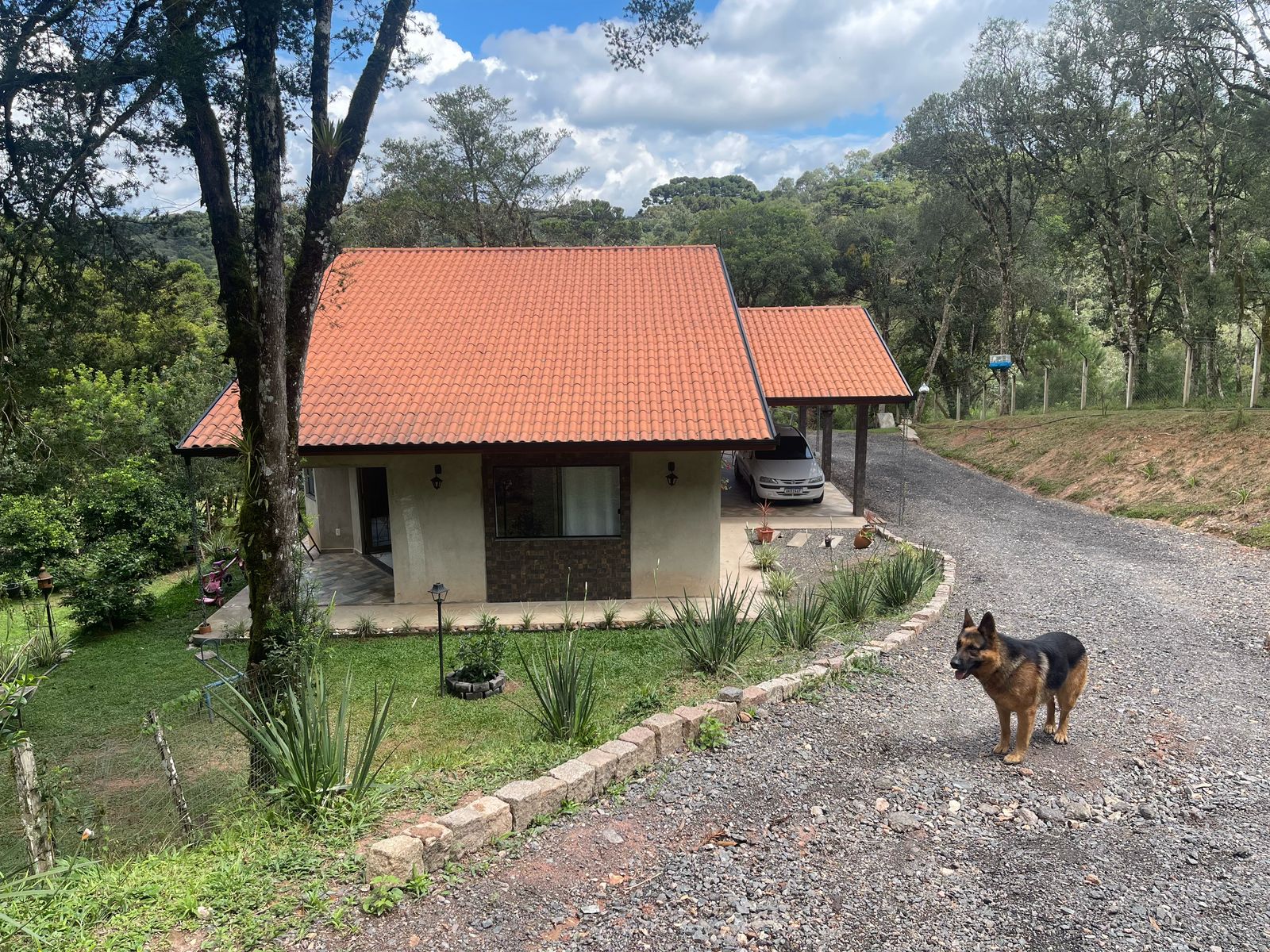 Foto do imóvel: Chácara com 3 Quartos à Venda, 6.800 m² em Salgadinho - Campo Largo