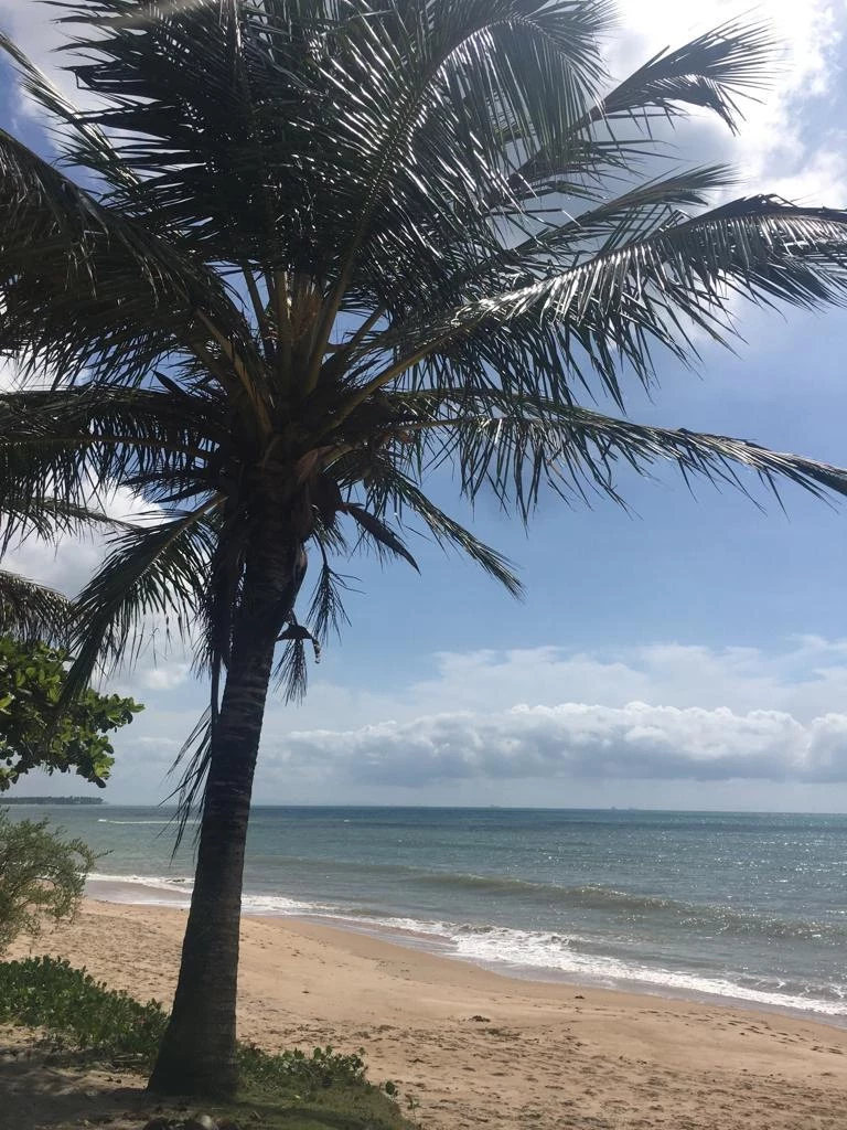 Imagem Casa de Condomínio com 3 Quartos para Alugar, 50 m² em Vera Cruz - Vera Cruz