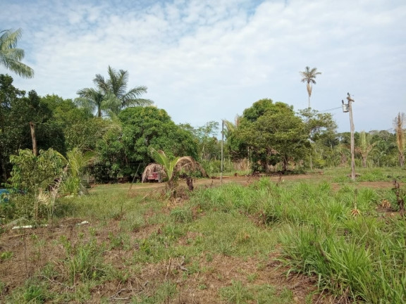 Imagem Terreno à Venda, 2.000 m² em Zona Rural - Humaitá