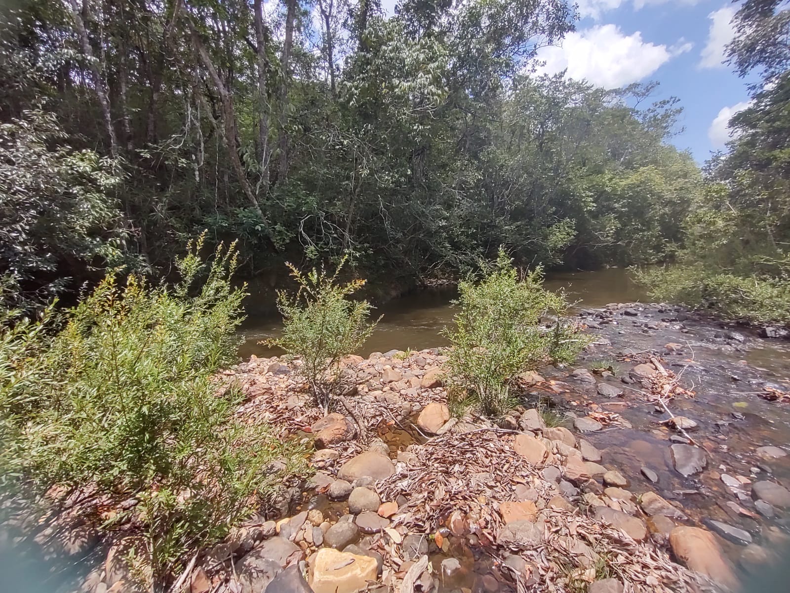 Imagem Fazenda à Venda, 6 HAem Moinho - Alto Paraíso de Goiás
