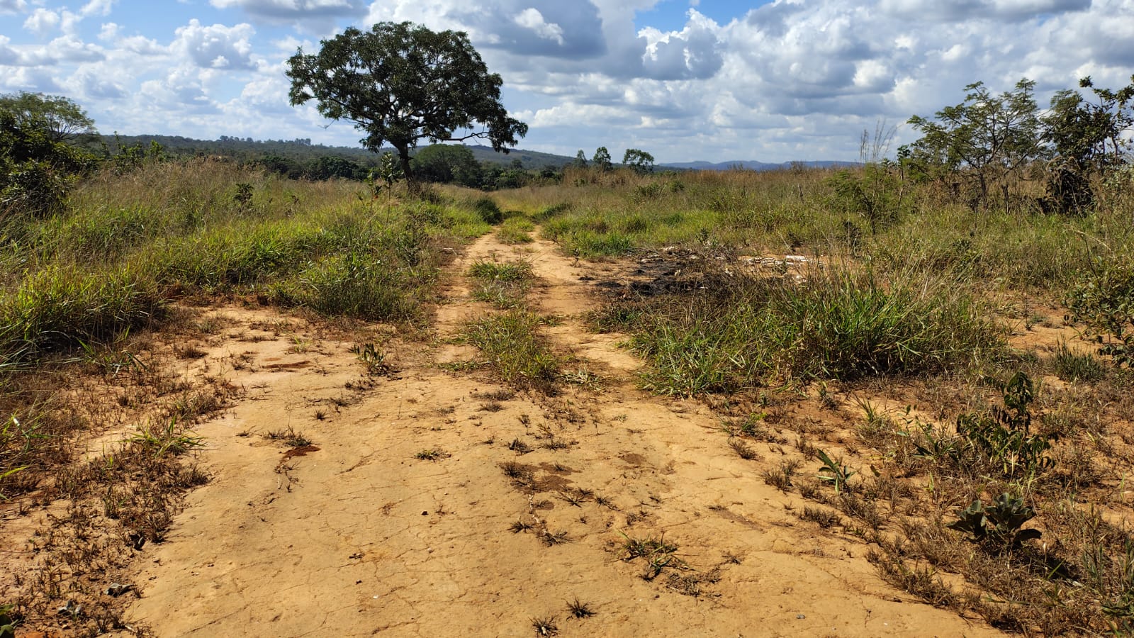 Imagem Terreno à Venda, 467 m² em  - 