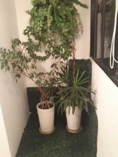 Imagem Cobertura com 3 Quartos à Venda, 180 m² em Indianópolis - São Paulo