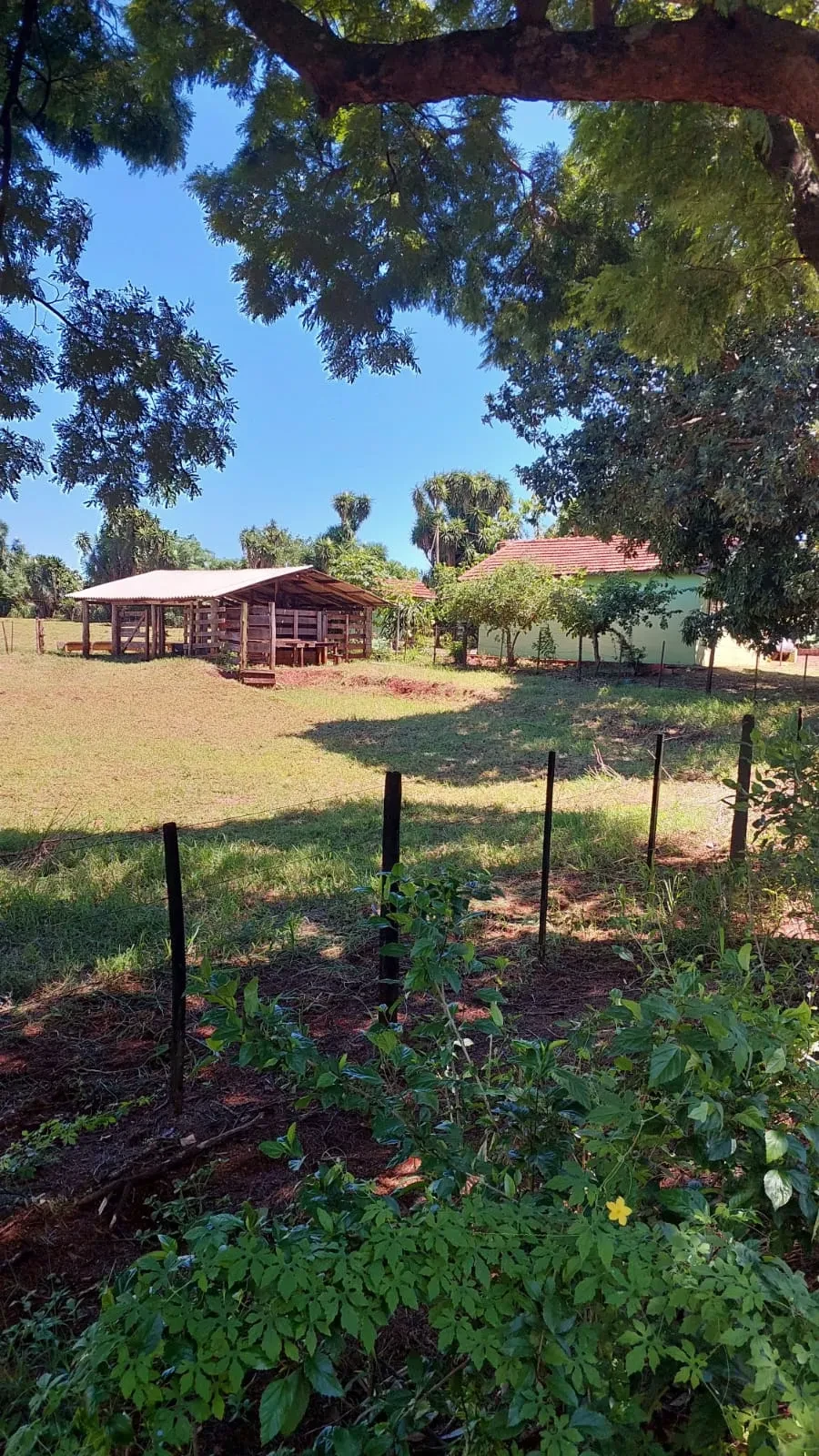 Imagem Chácara com 2 Quartos à Venda ou Locação, 90 m² em Pitangueiras - Pitangueiras