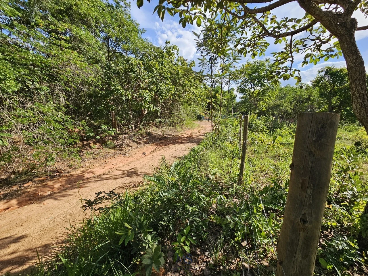 Imagem Fazenda à Venda, 18580 m² em Chácaras Ipanema - Valparaíso de Goiás