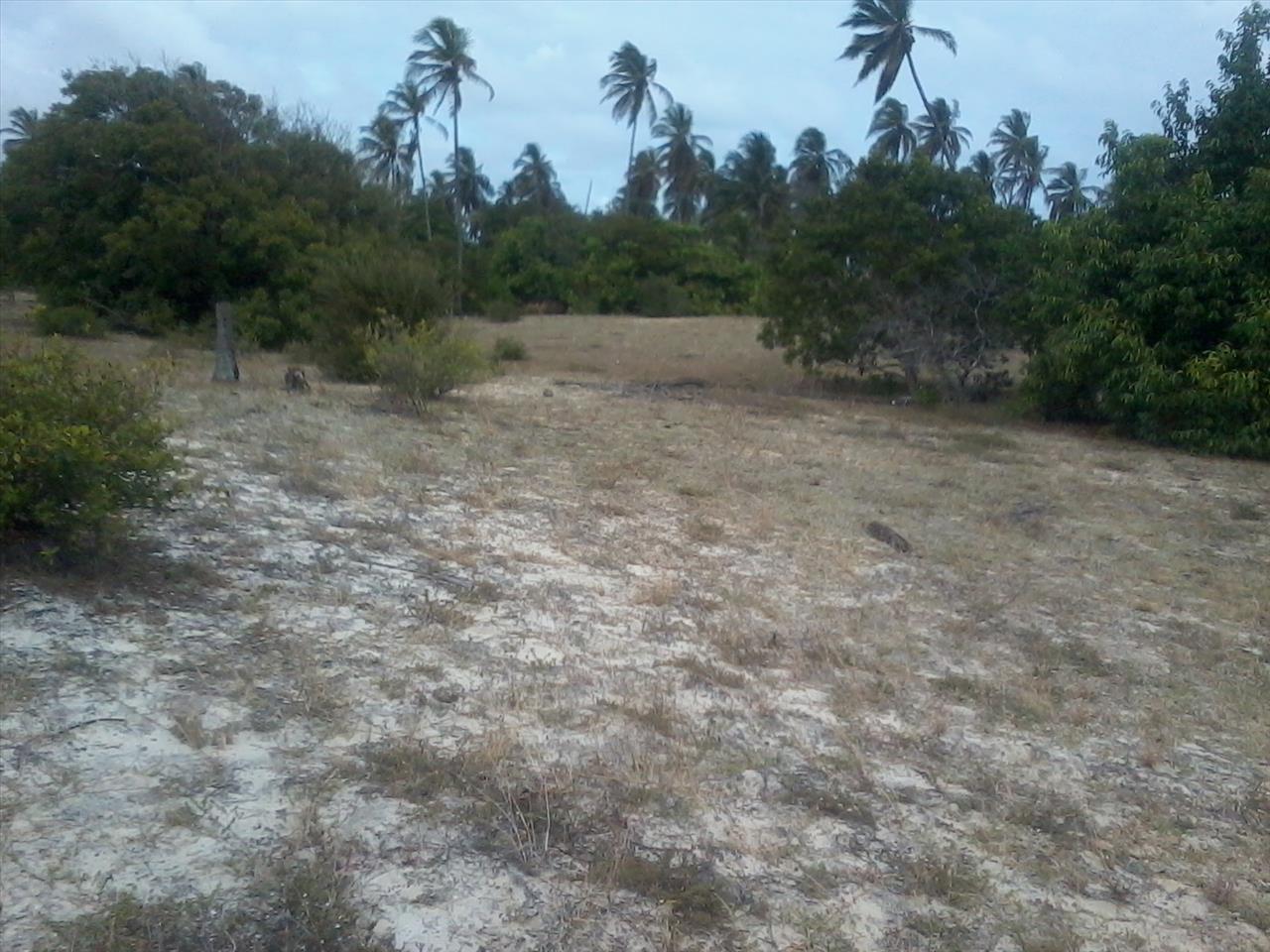 Imagem Terreno à Venda, 168.640 m² em Praia de Pititinga - Rio do Fogo