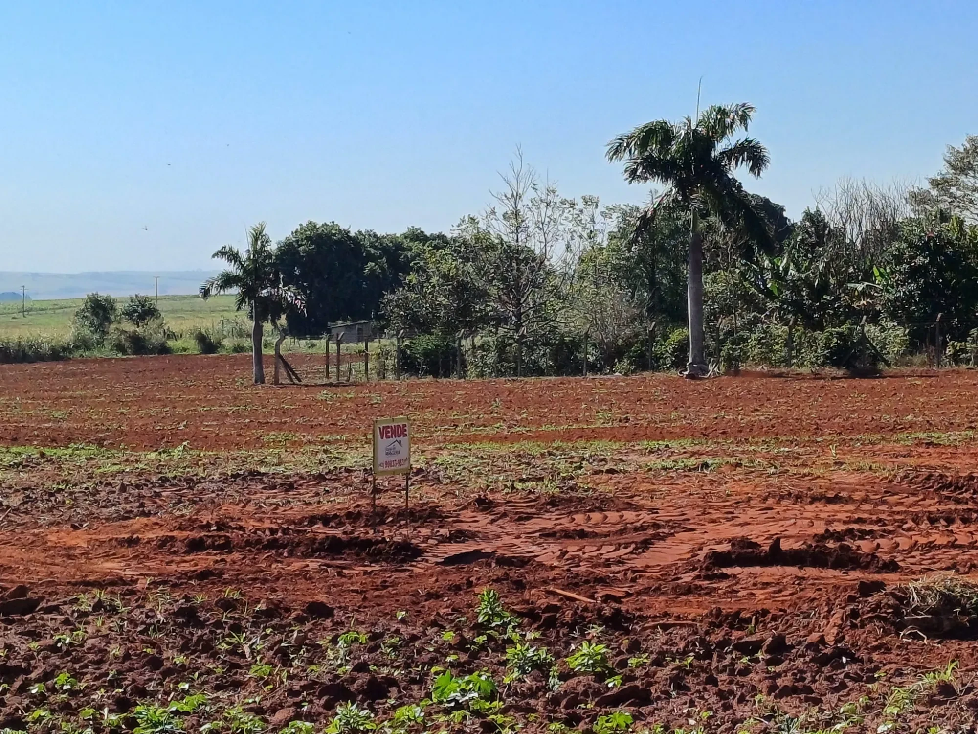 Imagem Chácara à Venda, 4000 m² em Pitangueiras - Pitangueiras
