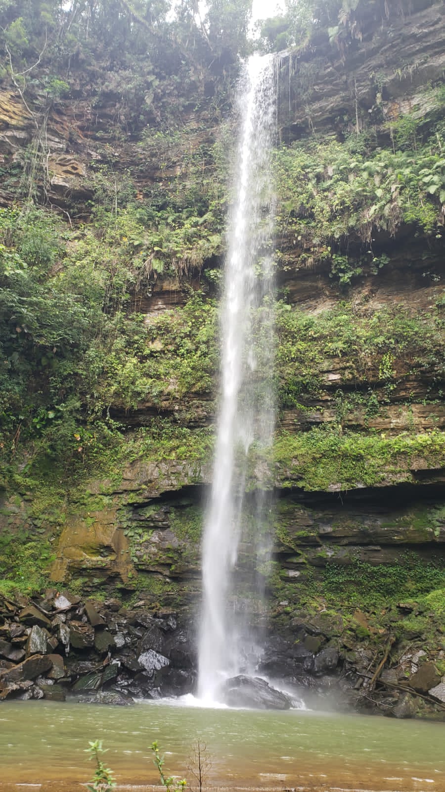 Foto do imóvel: Chácara com 2 Quartos à Venda, 20.000 m² em Capivaras Alta - Grão Pará