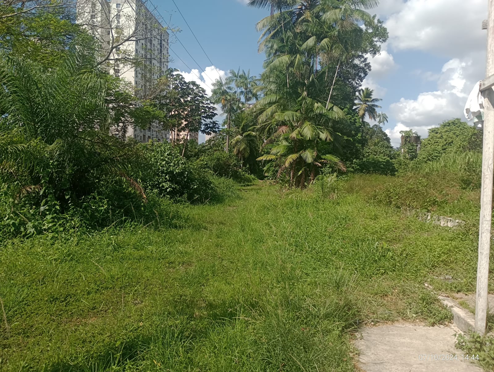 Imagem Terreno à Venda, 34 m²em Tenoné - Belém