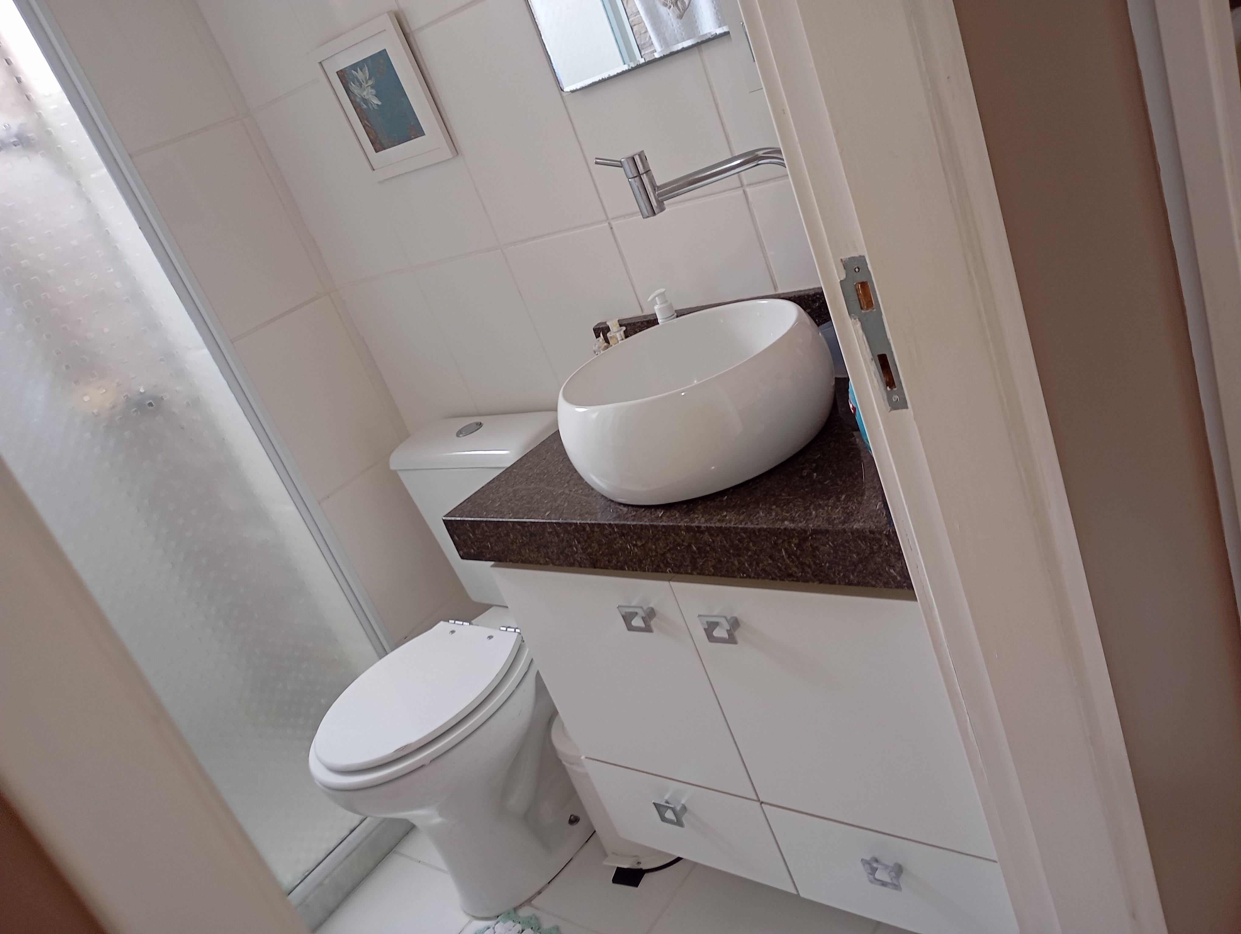Imagem Apartamento com 2 Quartos à Venda, 52 m² em Vila Liviero - São Paulo