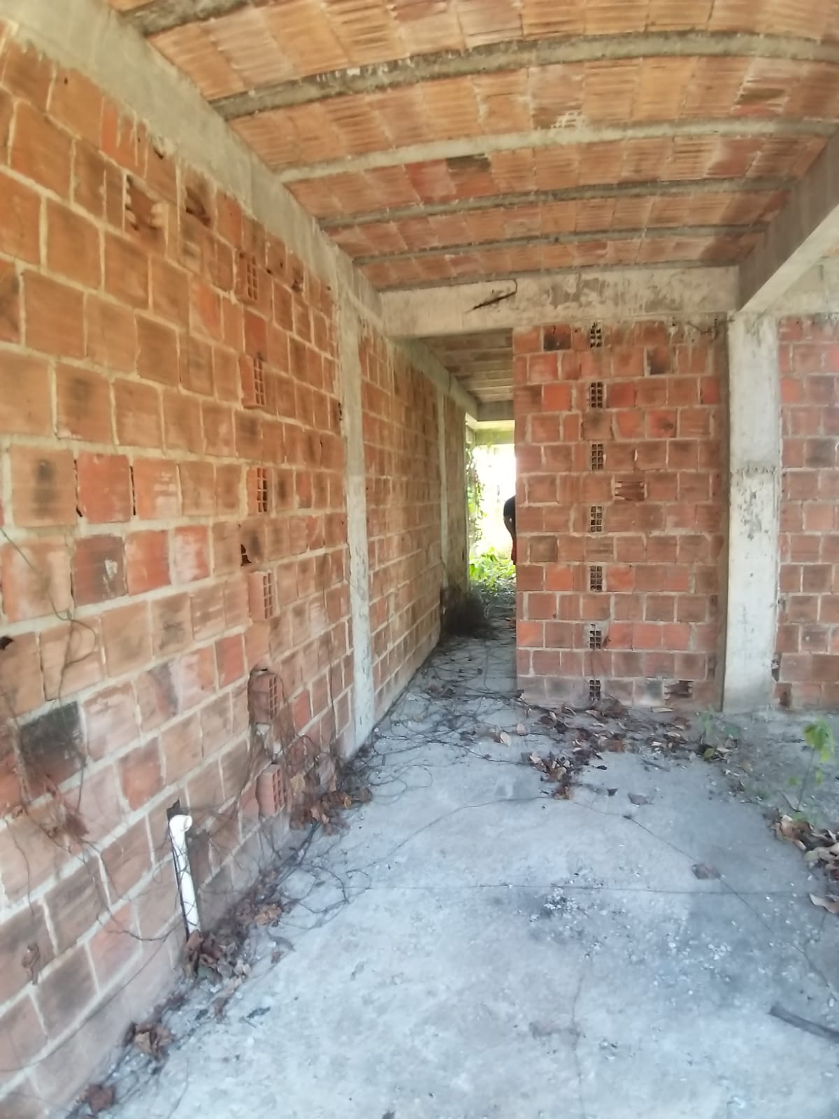 Imagem Terreno à Venda, 900 metro em Goiana - Goiana