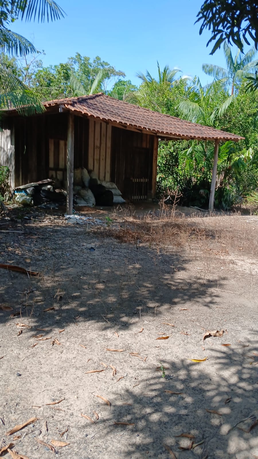 Imagem Terreno à Venda, 80.000 metro em  - Bujaru