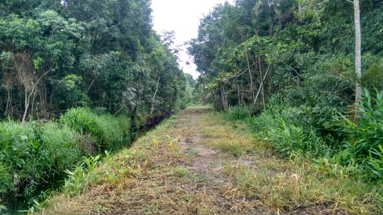 Imagem Terreno à Venda, 70 m²em centro - Itapoá