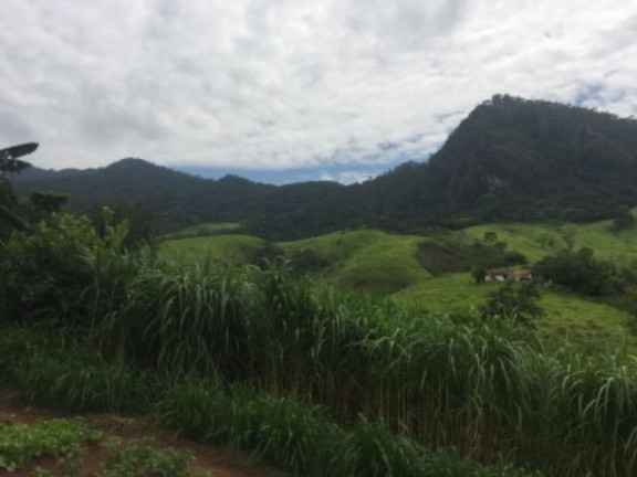 Imagem Fazenda à Venda, 20.000 m² em Vila Pontilhão - Cruzeiro