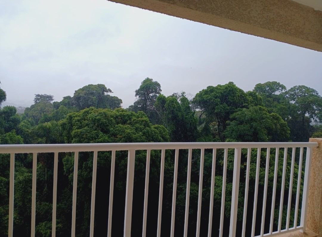 Foto do imóvel: Apartamento com 2 Quartos à Venda, 56 metros em Vila Moraes - São Paulo