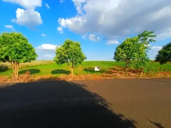 Imagem Chácara à Venda, 1000 m² em Pitangueiras - Pitangueiras