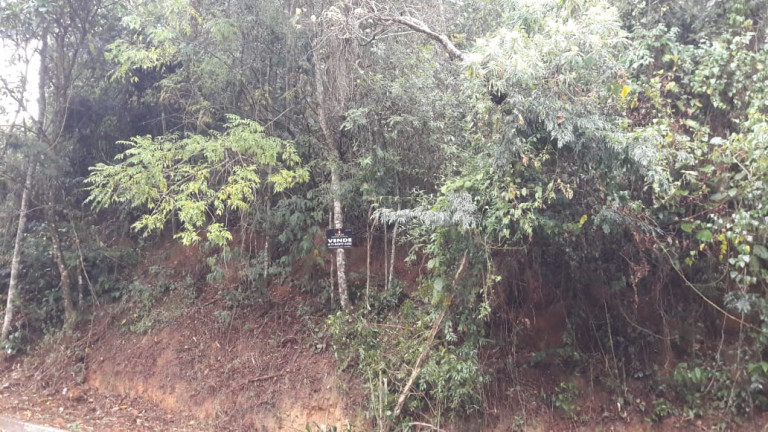 Imagem Terreno à Venda, 3.002 m² em Mata Fria - Mairiporã