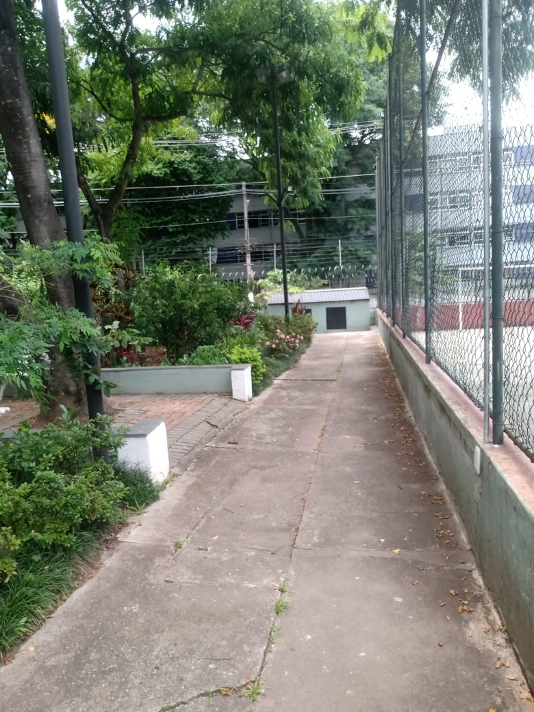 Imagem Apartamento com 3 Quartos à Venda, 74 m²em Jaçanã - São Paulo